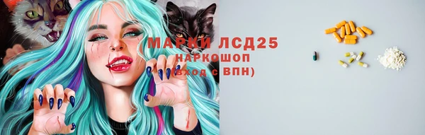 шишки Баксан