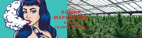 шишки Баксан