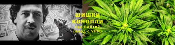 шишки Баксан