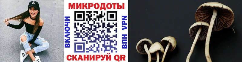 Галлюциногенные грибы Cubensis  Ленск 